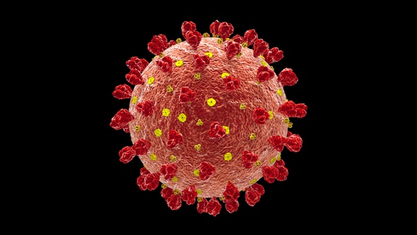 Coronavirus Covid 19 Cell V4