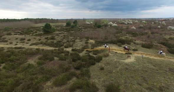 Aerial view of three horses racing in desert environment