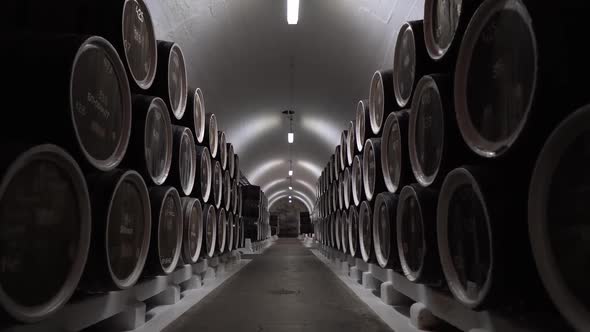 Old Wine Cellar with Wooden Barrels