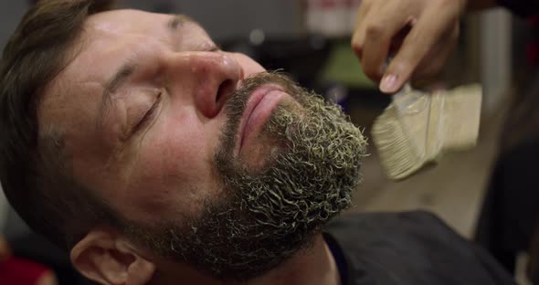 A Professional Hairdresser Paints a Client Man Beard with Black Hair Dye