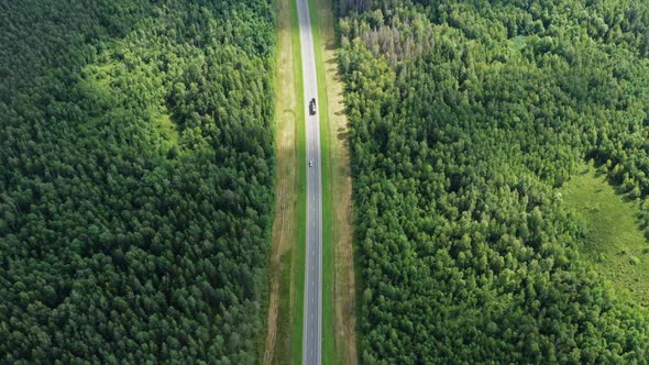 Aerial Top View of Country Road in Forest