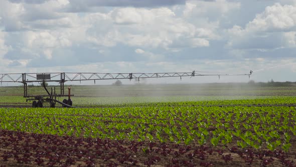 Irrigation System on Agricultural Land