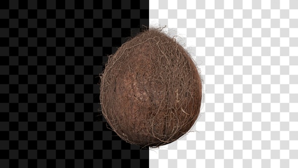 Coconut Nut