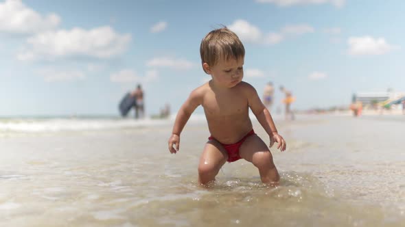 Kid Collects Shells and Pebbles in the Sea on a Sandy Bottom Under the Summer Sun on a Vacation