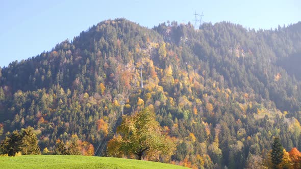 Shot of a mountain with a gondola on it.