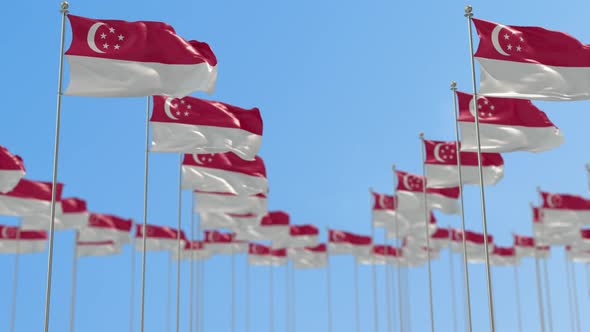 Singapore Row Of National flags Walk Throw Animation