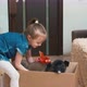 Little girl taking Akita puppy out of the box - VideoHive Item for Sale