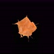 4K Orange Juice Splashing Explosion Slow Motion - Alpha Channel Included In The End Of The Clip - VideoHive Item for Sale