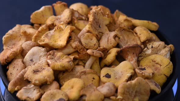 Close Up of Raw Chanterelle Mushrooms Rotate