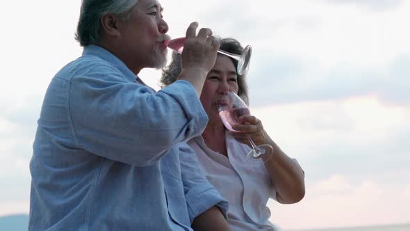 Senior adult man and woman drink wine