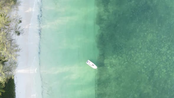 Vertical Video Boats in the Ocean Near the Coast of Zanzibar Tanzania Aerial View