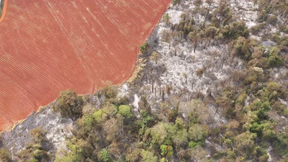 Burnt vegetation drone shot in Campinas,  Brazil