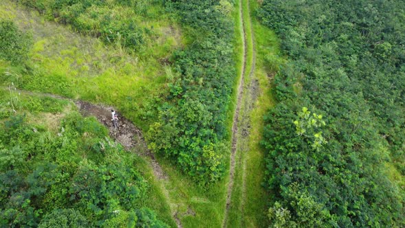 Drone Footage People Walking in Green Forest