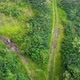 Drone Footage People Walking in Green Forest - VideoHive Item for Sale