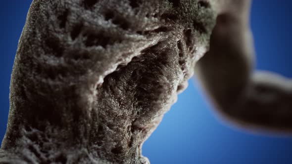 Horrible Scary Zombie Man alt