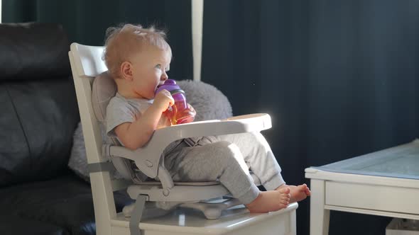 Cute Kid with Baby Straw Feeding Cup Sitting in Booster Seat One Year Old Toddler Watching Tv