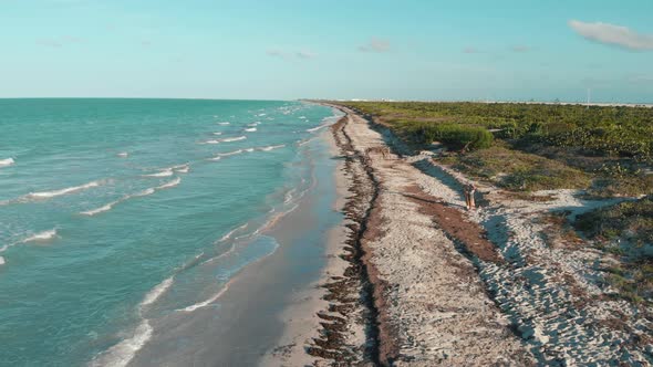 Paradisiacal Beach in the Caribbean Sea Taken By Sargasso Seaweed