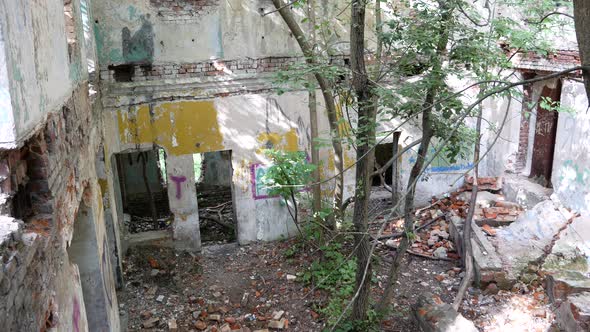 View From The Second Floor Of An Abandoned Brick Building. Trees Grow In The Building. Painted Walls