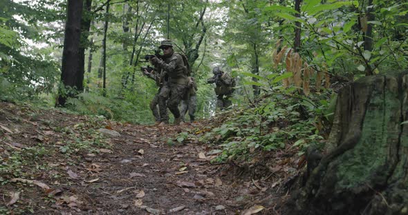 Soldiers Moving Through Forest During Tactical Action Concept of War and Attacking