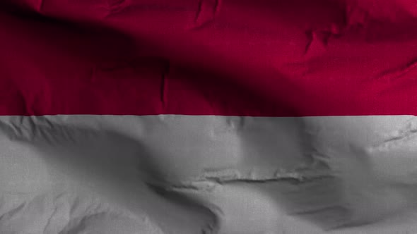 Monaco Flag Textured Waving Background 4K