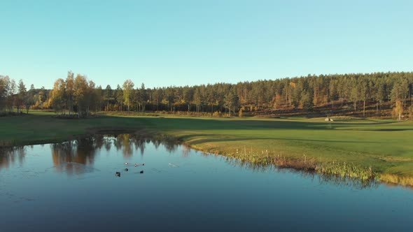 Flying over a small calm lake with ducks next to a beautiful green golf course.