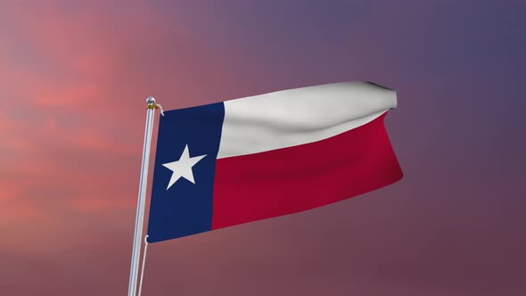 Flag Of Texas Waving 4k