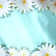 Spinning Chamomiles On Card Stylish Blue Background - VideoHive Item for Sale