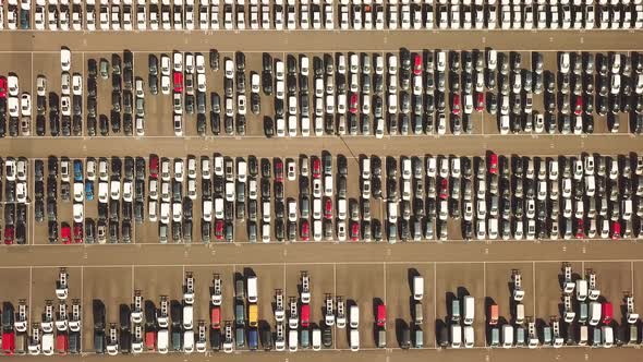 Many new and occasion Cars on a huge parking lot waiting for shipment, Aerial