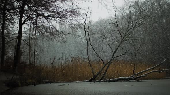 Snow Falling Over Frozen Lake In Winter Forest