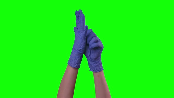 Doctors Female Hand Is Putting on Blue Latex Gloves. Green Screen. Close Up.