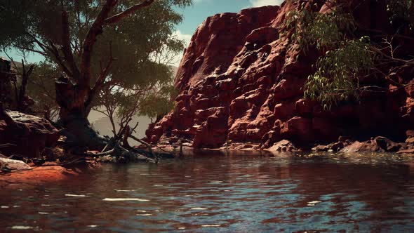 Colorado River with Red Stones and Trees