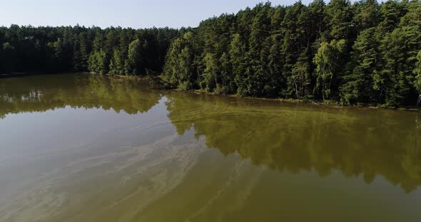 Aerial view of Kashubian Lake Pomeranian Voivodeship Poland with evergreen scenic pine tree natural