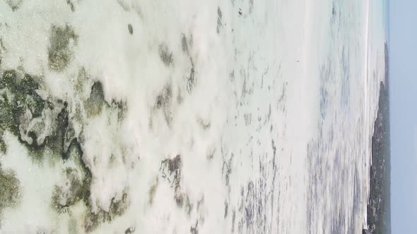 Vertical Video of Low Tide in the Ocean Near the Coast of Zanzibar Tanzania Aerial View