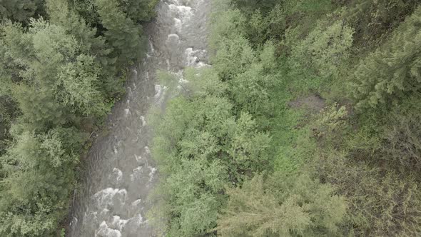 Ukraine, Carpathian Mountains: River in the Mountains. Aerial. Gray, Flat