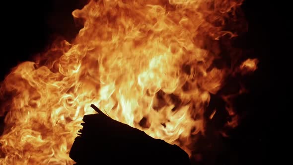 Fire Burns A Wood Log And Consumes It In Flames