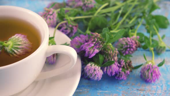 Composition on vintage light blue wooden tabletop with fresh flowers of clover.