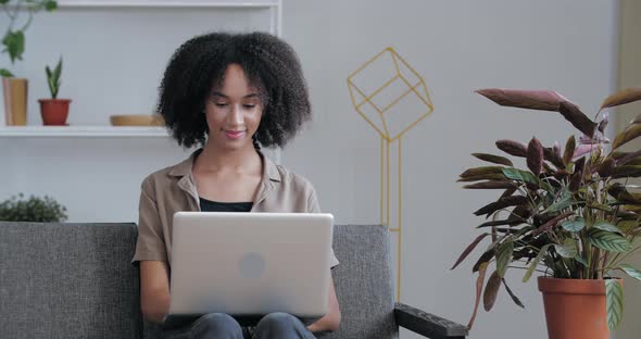Attractive Afro Mixed Race Woman Relaxing at Home Sit on Comfortable Couch Using Laptop, Chatting