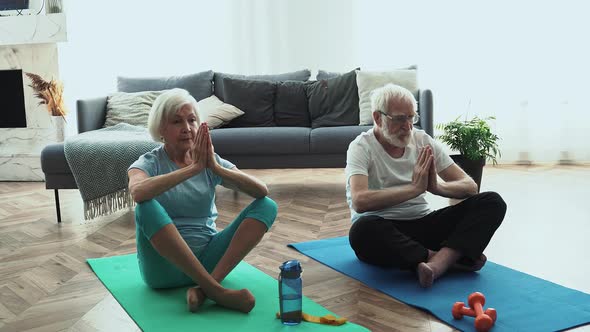 Old couple making exercises