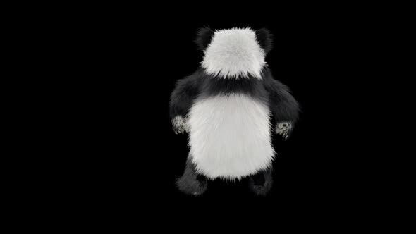 Panda Dancing HD