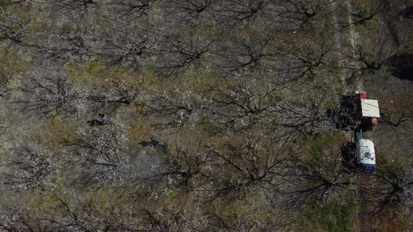 Drone Workers Working in Agricultural Land