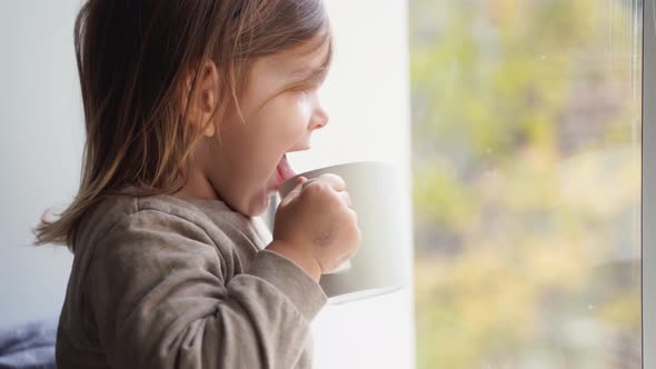 Toddler Child Drinks Milk or Cocoa Near the Window. Christmas Time. Indoors Home Acticvity 