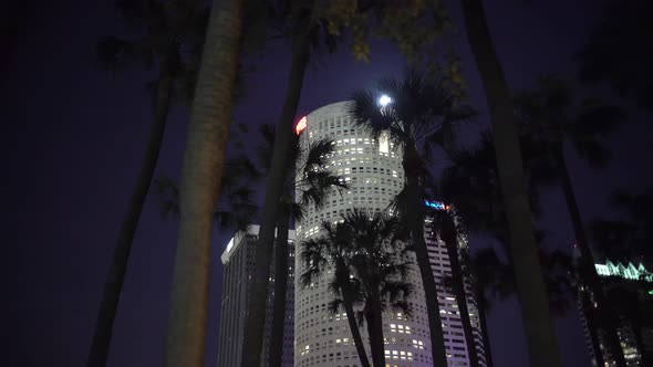 Pan right of palm trees and towers at night