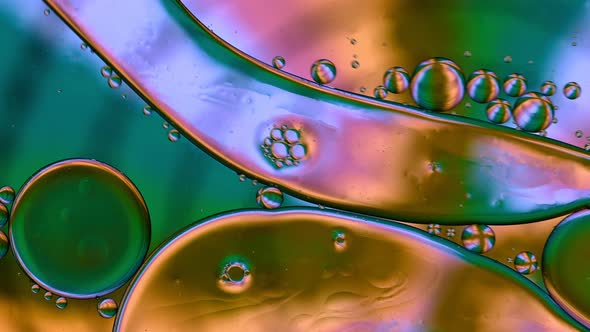 Abstract Colorful Food Oil Drops Bubbles 146