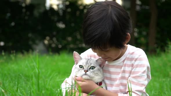 Cute Asian Child Playing With Scottish Cat In The Park