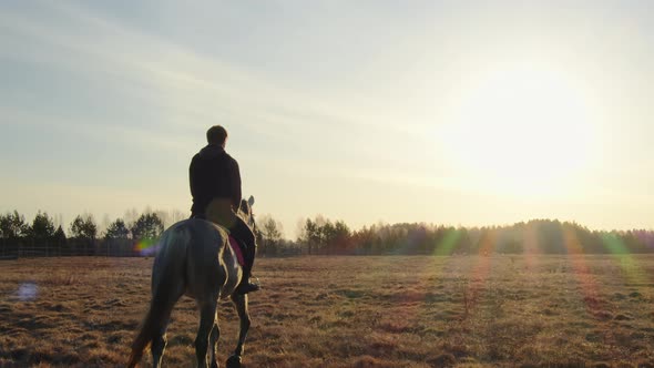 The Rider Rides the Horse Slowly