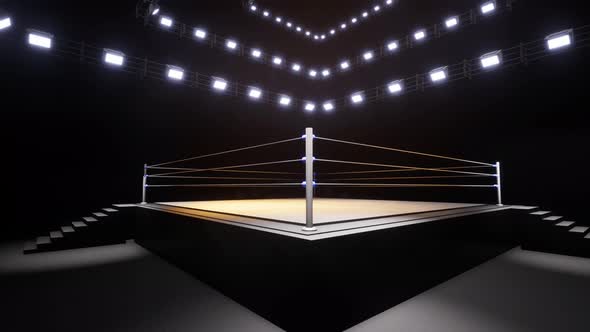 Sports Wrestling And Boxing. Sport 4K Professional Background Animation