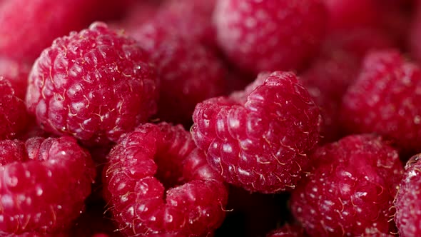 Closeup Delicious Vitaminfilled and Healthy Harvest of Fresh Raspberries Rotation