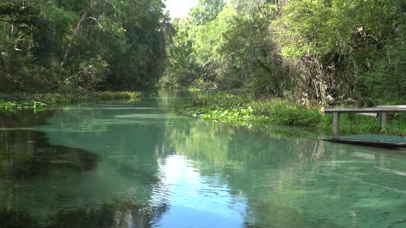 Clear Spring at Kelly Park close to Orlando and Apopka Florida