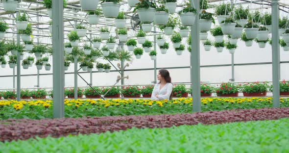 Woman Walking in Large Modern Greenhouse Near Flowers