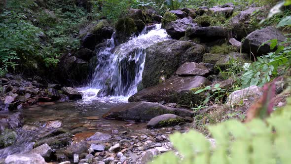 A Small Waterfall in a Mountain Forest